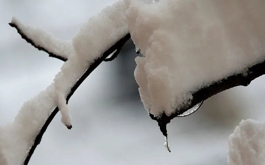 Климатолог: От вторник ни чака нормално време 
