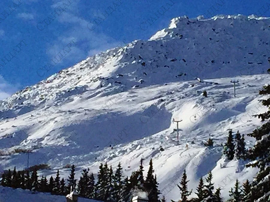 Лавина падна на Витоша, има пострадали