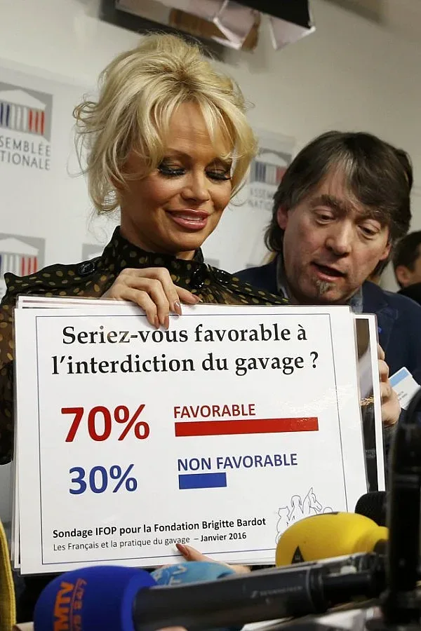 Памела Андерсън спретна бой във френския парламент