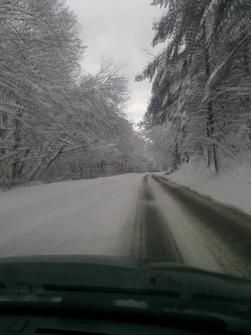 Спряха автобусите в Силистра