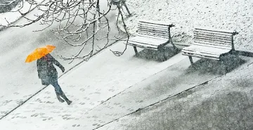 Три дни дървена ваканция за учениците в Добрич