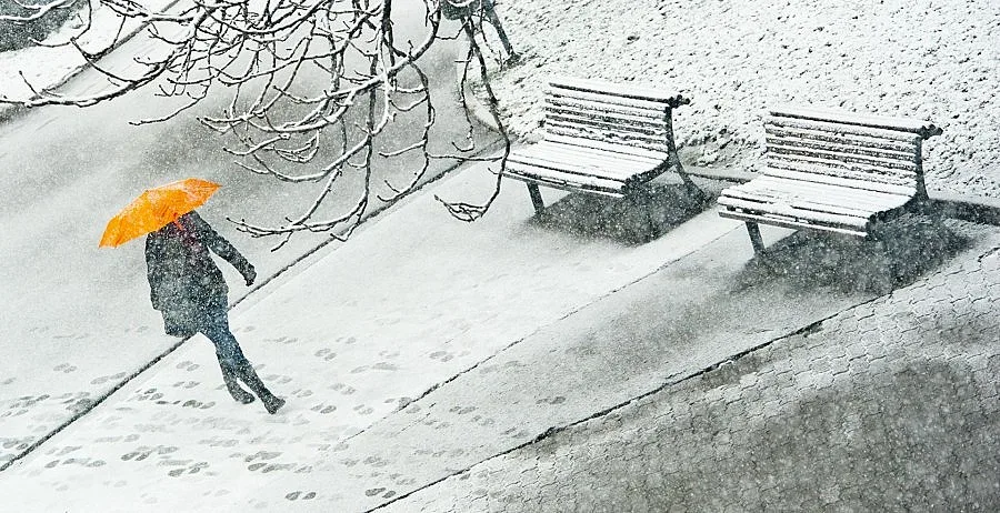 Три дни дървена ваканция за учениците в Добрич