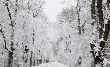 Снеговалежът продължава