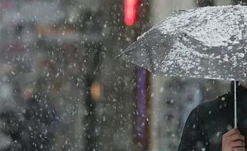 Дървена ваканция и в Плевен