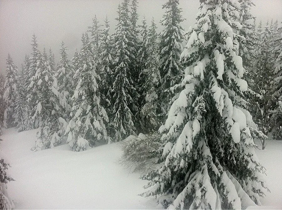 Обявиха дървена ваканция в Силистра и Тутракан