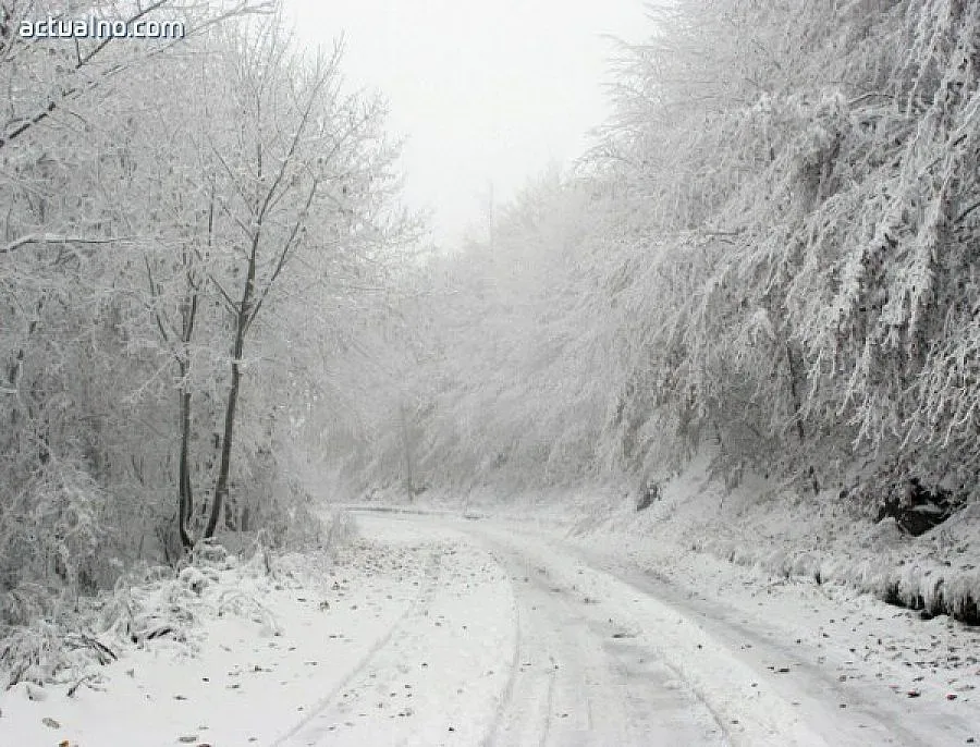 Пуснаха тока в 103 населени места в Североизточна България