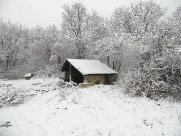 Над 320 села са на тъмно в Югоизточна България