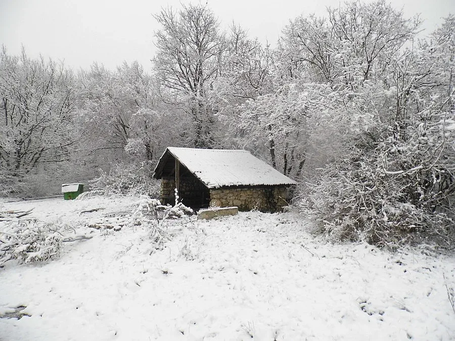 Над 320 села са на тъмно в Югоизточна България