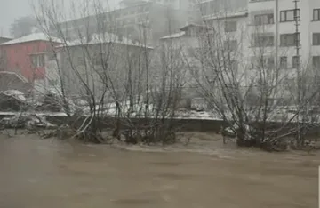 Арда преля, помете коли и стени