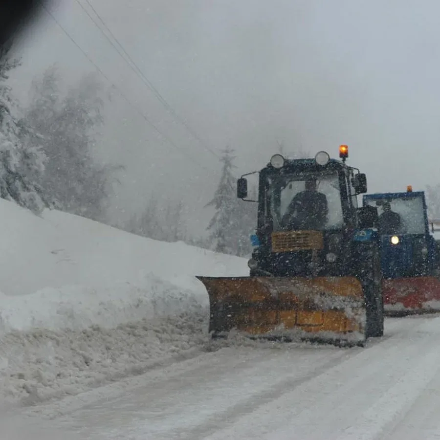 15 села в Кърджалийско без ток заради снеговалежите