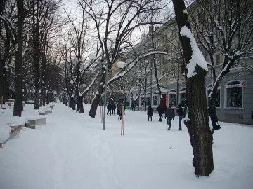 Паднали дървета и клони в Шумен, сигналите не спират да валят