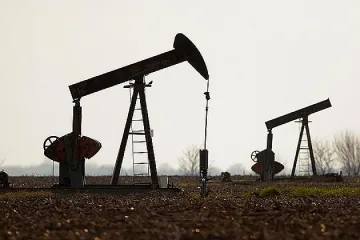 Нефтът се срина до  31 долара за барел