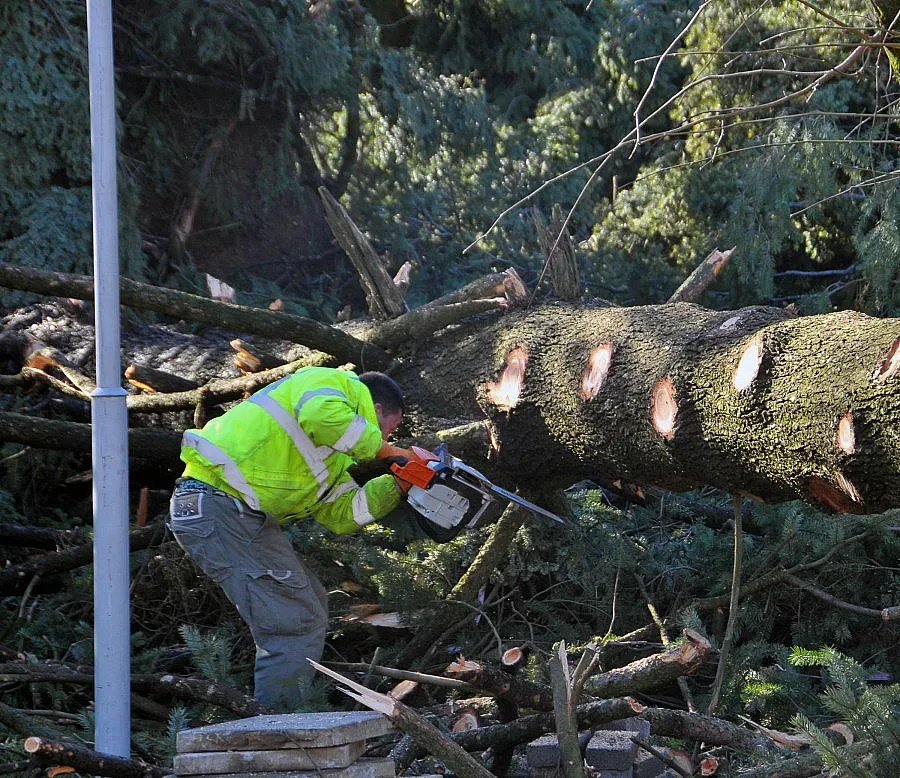 Промени в движението по бул. "Сливница" в столицата