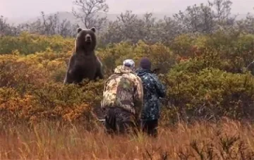 Ловът на кафява мечка само след ок от екоминистъра