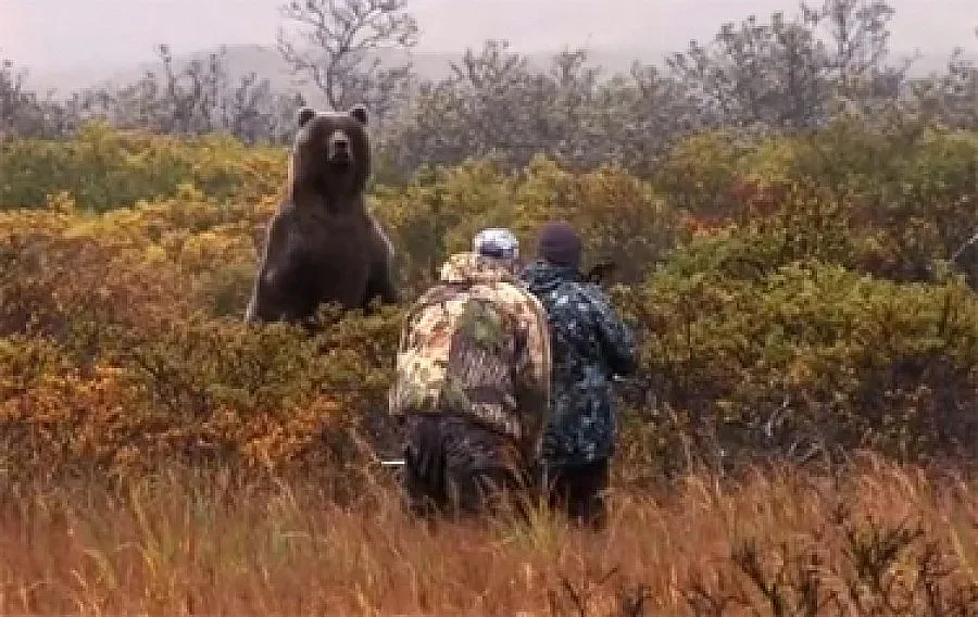 Ловът на кафява мечка само след ок от екоминистъра
