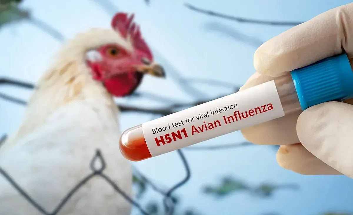 Страшна напаст в САЩ! Смърт след заразяване с коварна болест