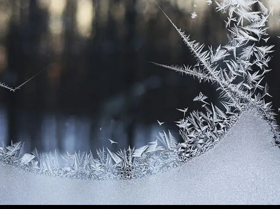 Студът взе втора жертва у нас