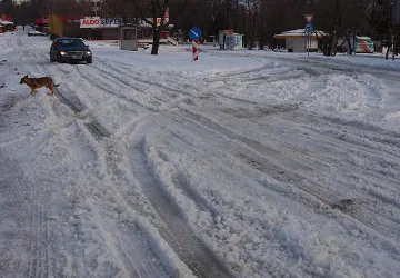Страх от поледици и лавини сковава страната