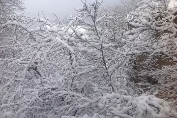 Мъж почина от премръзване в къщата си