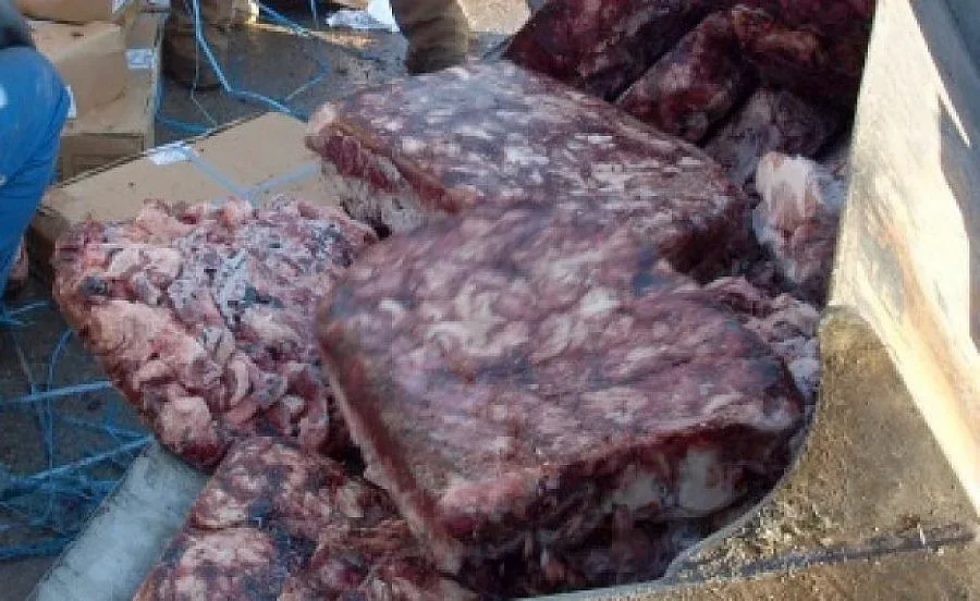 Задълженията към екарисажа в Шумен ще бъдат изплатени