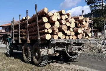 Започна внедряването на електронния превозен билет за дървесина