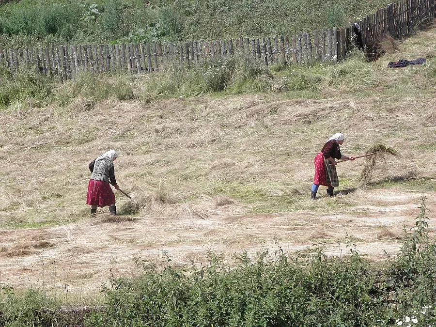 НССЗ ще проведе изнесени приемни за фермери в цялата страна