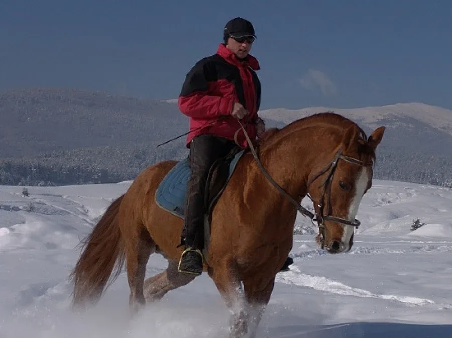 Езда в снега хит за туристите в Банско и Разлог