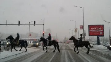 Ромски каубои обикалят Люлин в снега
