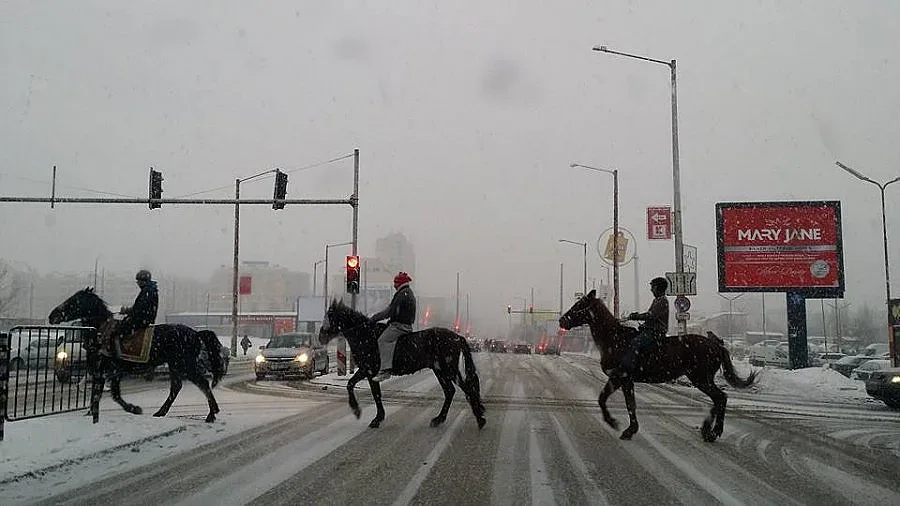 Ромски каубои обикалят Люлин в снега