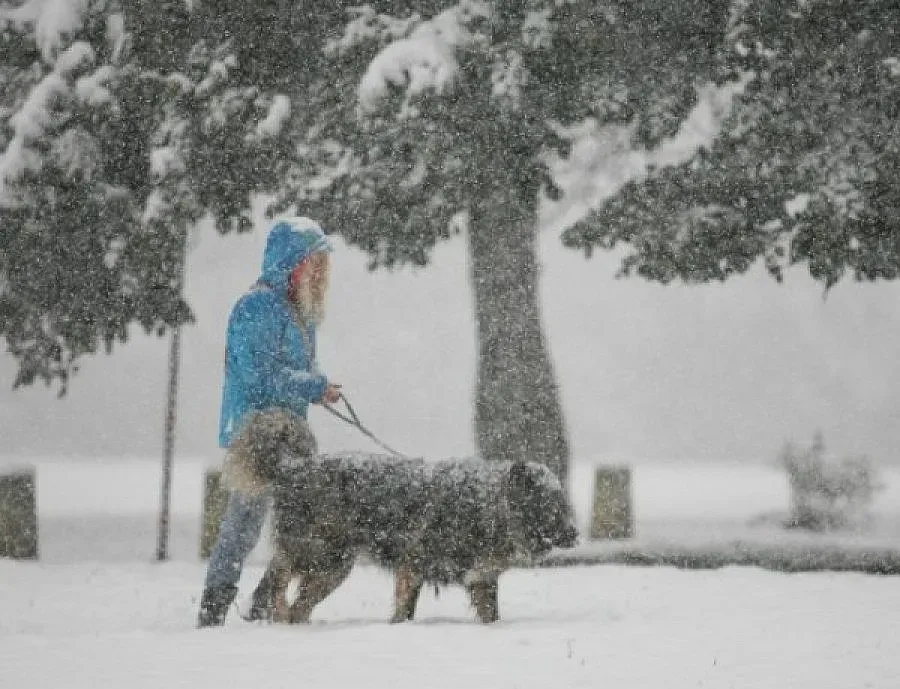 Кмет започна почистването на Кермен