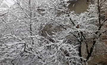 30 села в Югоизточна България останаха без ток