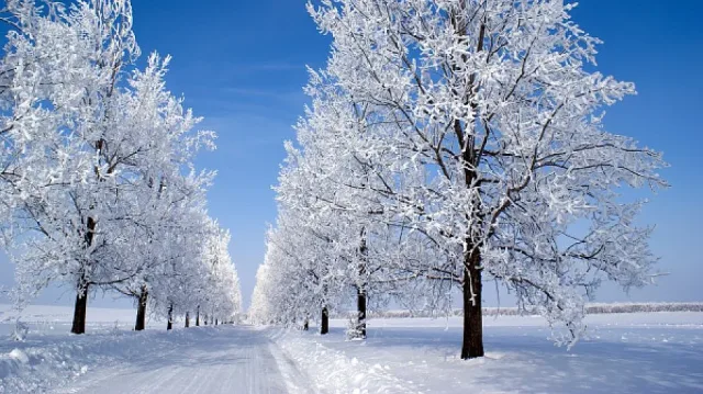 Край на първия сняг! Притеснителна прогноза за зимите у нас