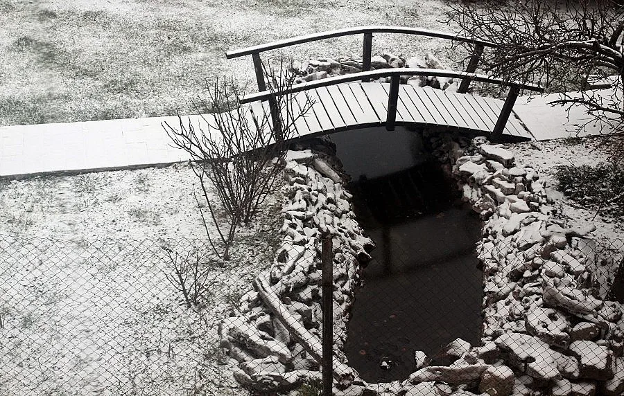 От -20 до +15 през януари