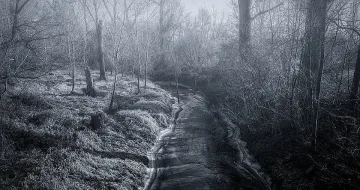 Затоплянето започна, но синоптиците вече предупреждават за нова зима