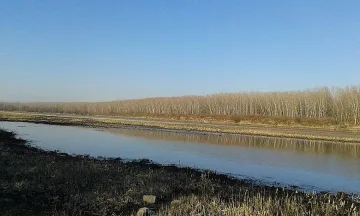 Четири критични точки за кораби по Дунава