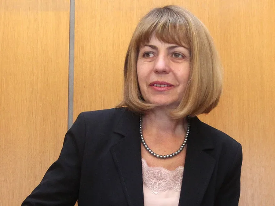 Фандъкова: Снегопочистващите фирми в столицата са готови за очаквания сняг