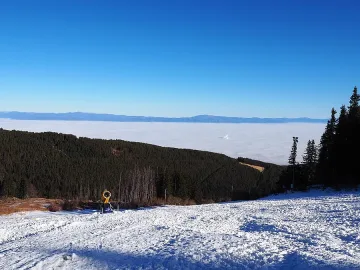 Саботират старта на ски сезона на Витоша
