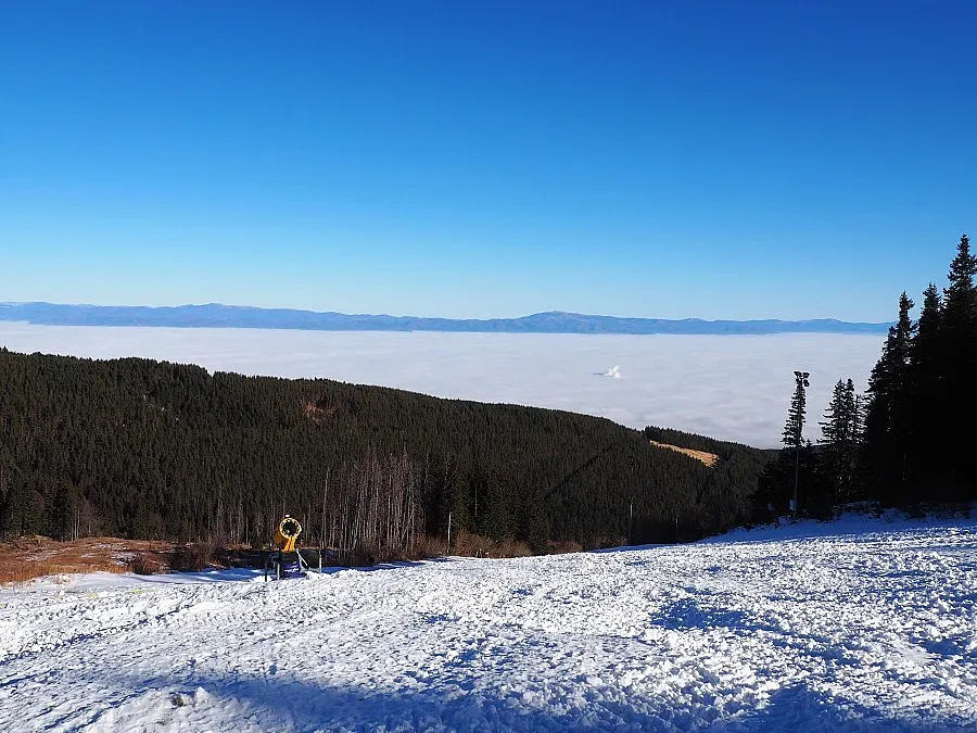 Саботират старта на ски сезона на Витоша