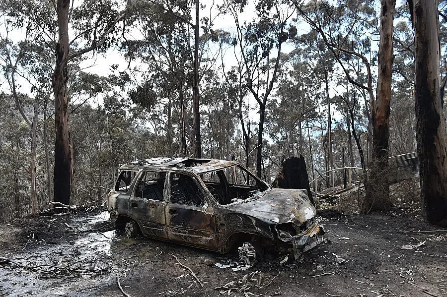 Коледен апокалипсис на 4 континента (ОБЗОР)