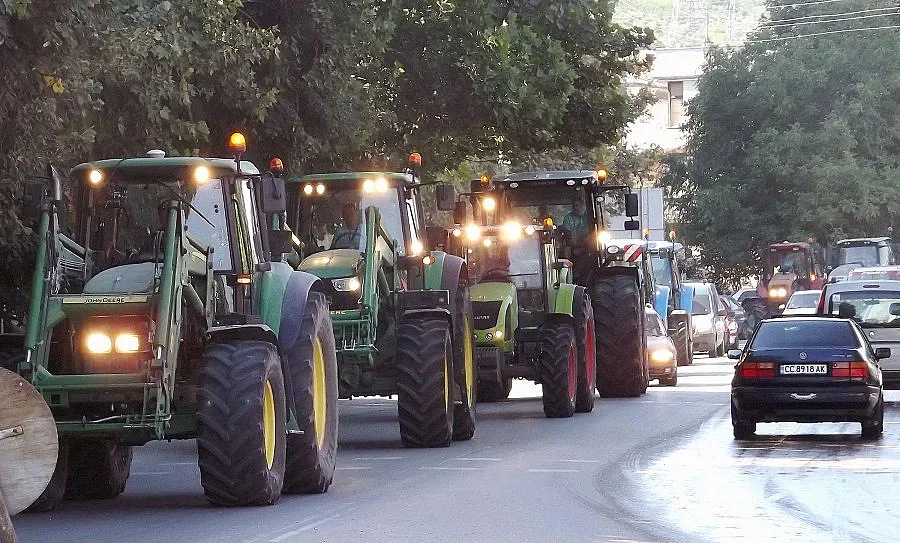Китайци инвестират  във фуражен завод