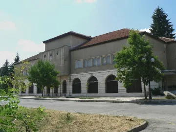 Хлапета правят суровачки в музея