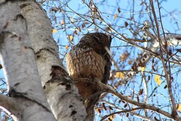 Още по-топло в неделя, зимата идва другата седмица 