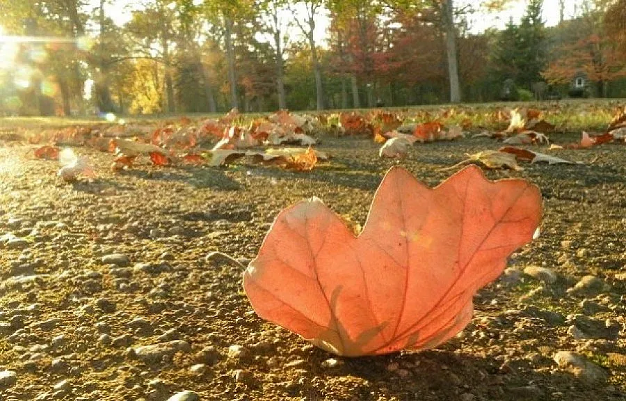 Хубавото време продължава и в събота
