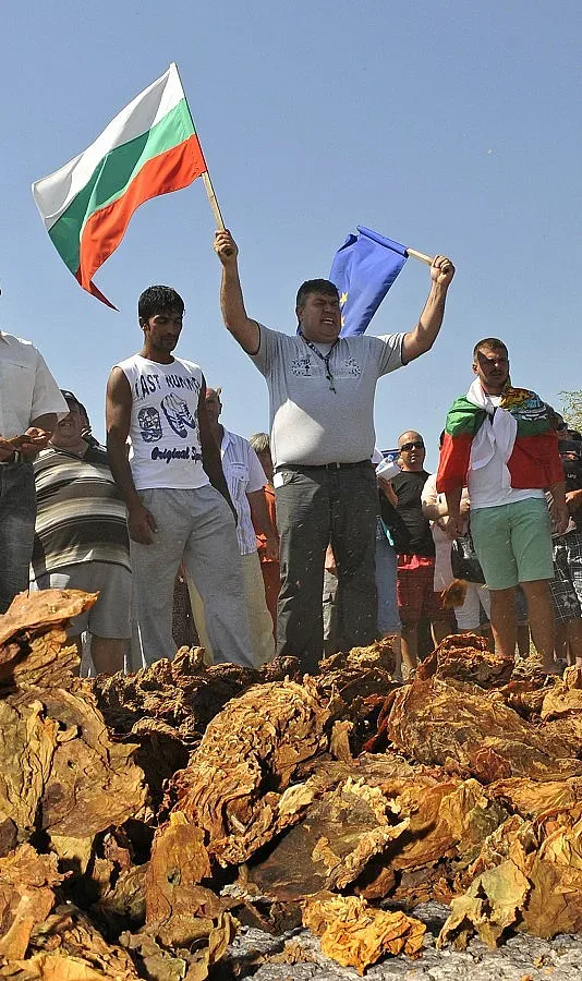 Сменят тютюна с гурбет в Неврокопския край