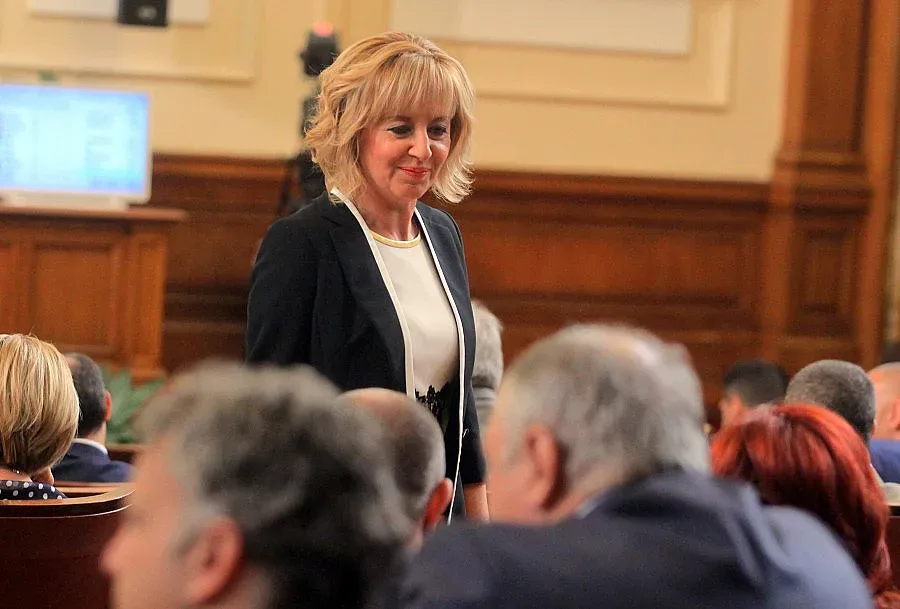 Манолова с жалба до КС за казаните за ракия