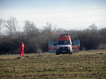 Разярен бик уби пастир?