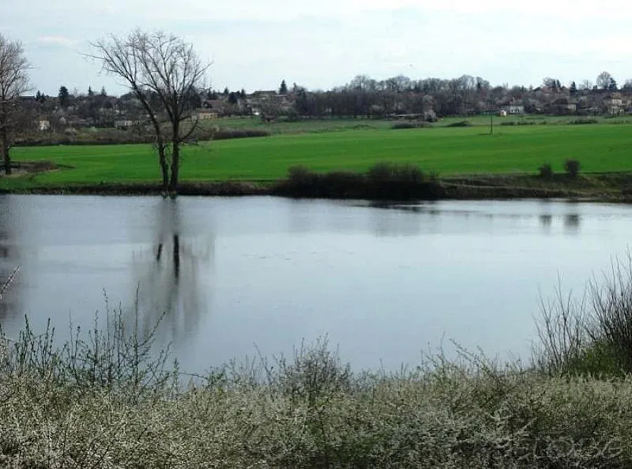 Заклаха зверски зърнен бос във Врачанско