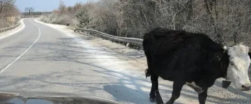 Пиян вода катастрофира край Гоце Делчев 