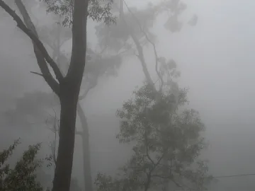 Жълт код в 11 области заради мъглата