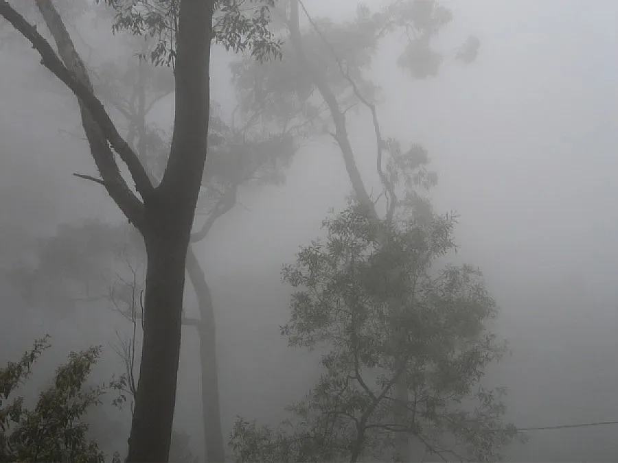 Жълт код в 11 области заради мъглата